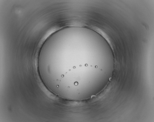 X0000113901195200910081823