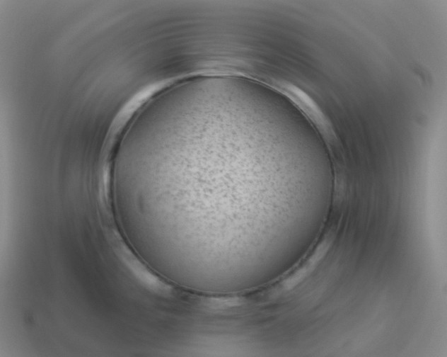 X0000113901196200910081823