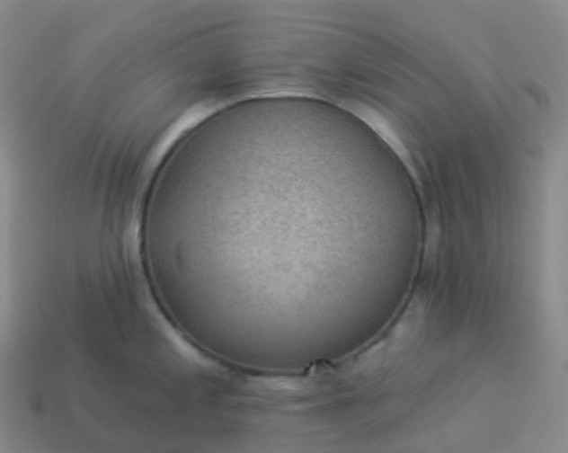 X0000113901197200910081823