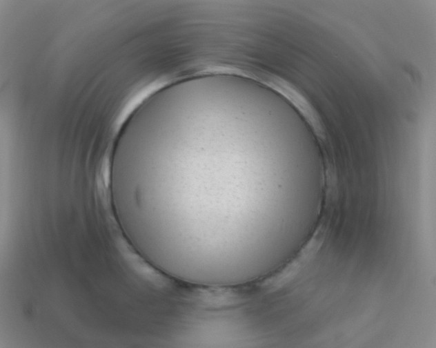 X0000113901198200910081823