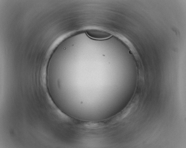 X0000113901199200910081823