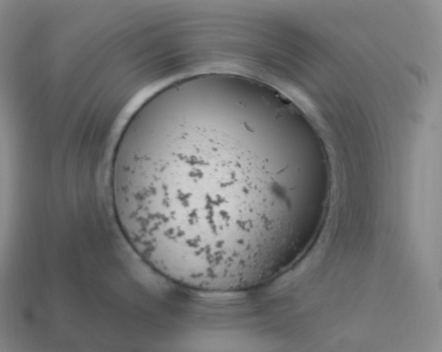 X0000113901200200910081823