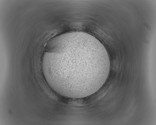 X0000113901201200910081822