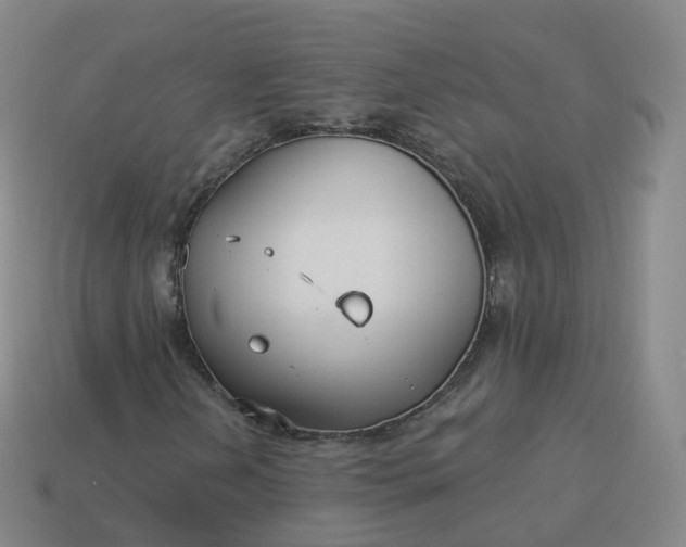 X0000113901202200910081822