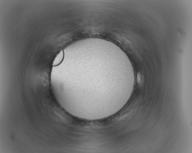 X0000113901203200910081822