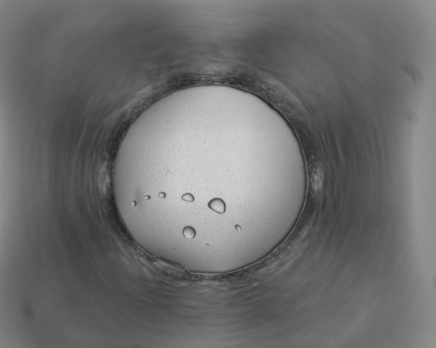 X0000113901204200910081822