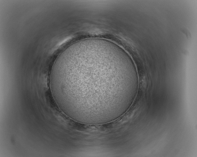 X0000113901205200910081822