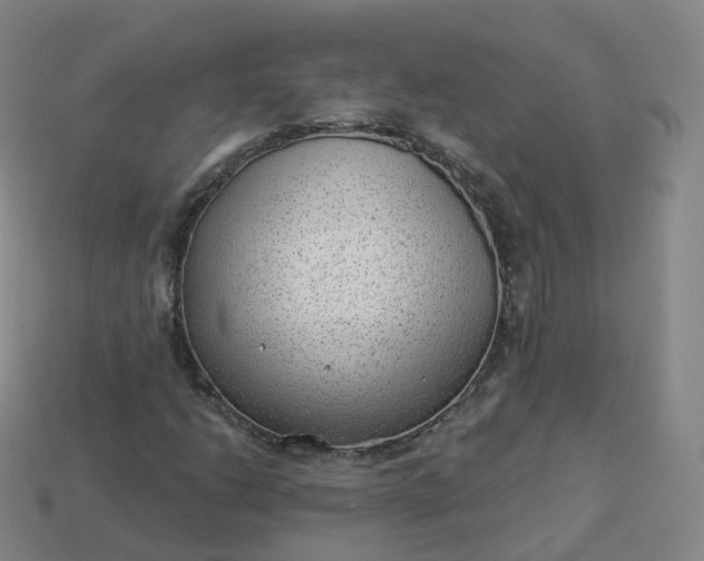 X0000113901206200910081822