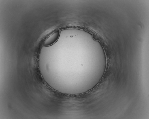 X0000113901207200910081822