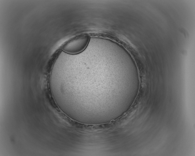 X0000113901208200910081822