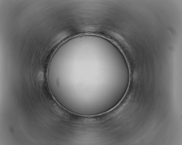 X0000113901209200910081822