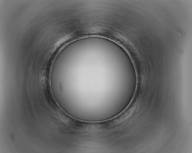 X0000113901210200910081822