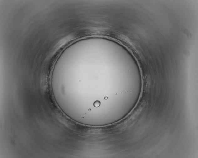 X0000113901211200910081822