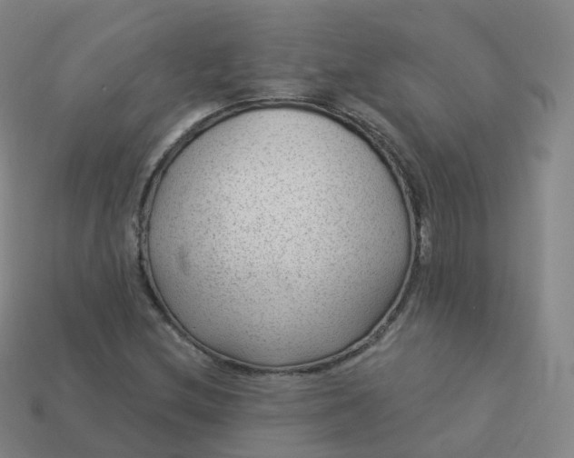 X0000113901212200910081822