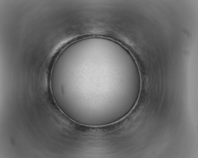 X0000113901214200910081822