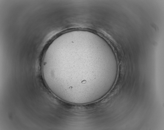 X0000113901215200910081822