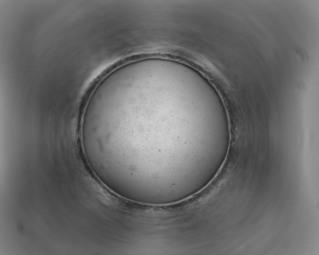 X0000113901216200910081822