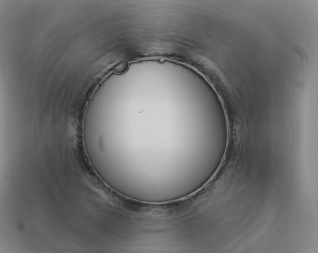 X0000113901217200910081822