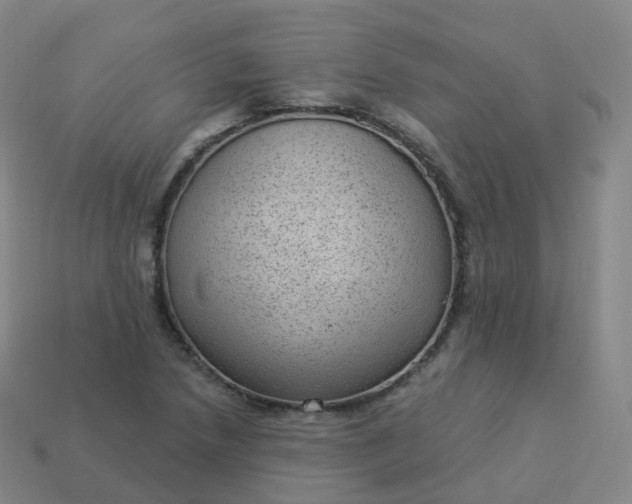 X0000113901218200910081822