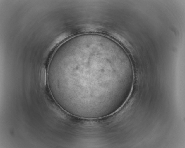 X0000113901219200910081822