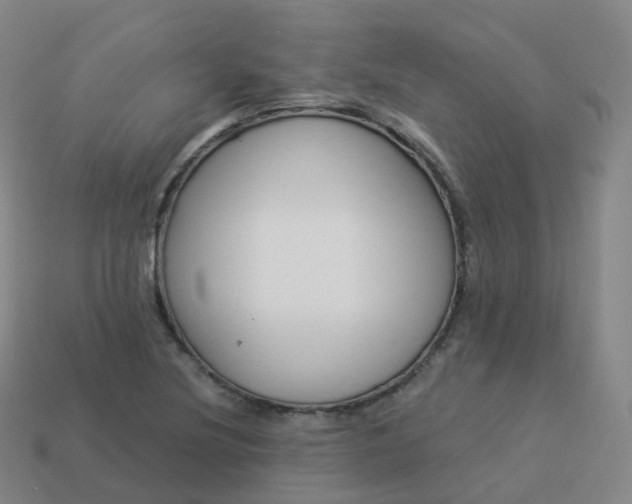 X0000113901220200910081822