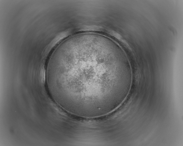 X0000113901221200910081822