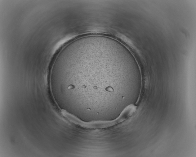 X0000113901222200910081822