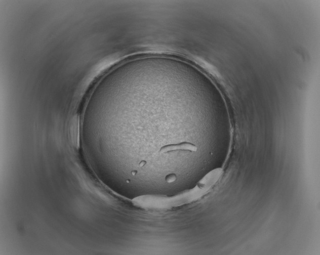 X0000113901223200910081822