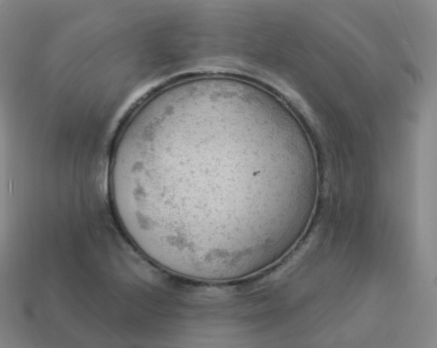 X0000113901224200910081822