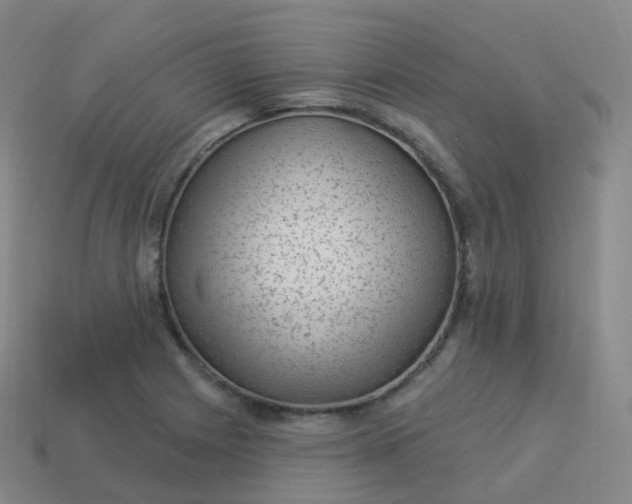 X0000113901225200910081822