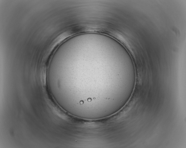 X0000113901227200910081822