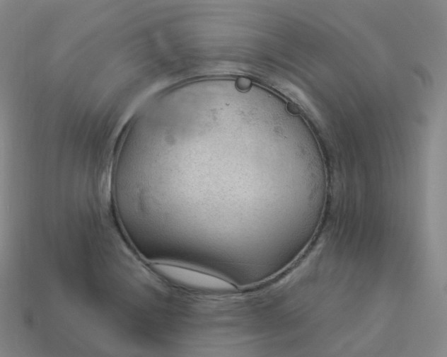 X0000113901228200910081822