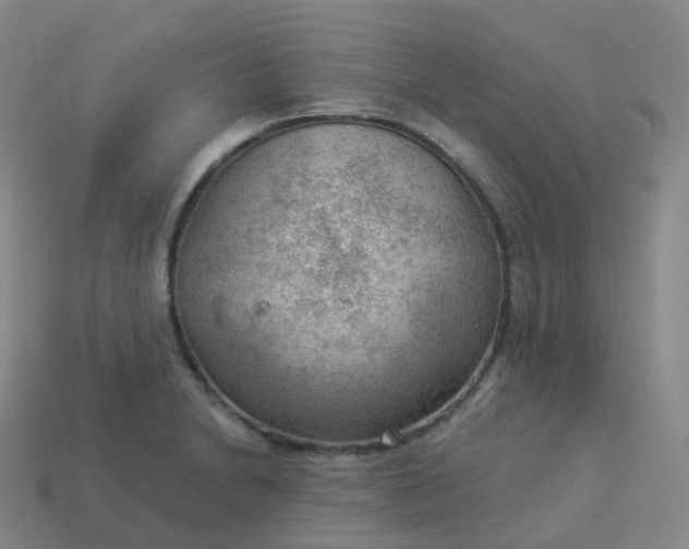 X0000113901230200910081822