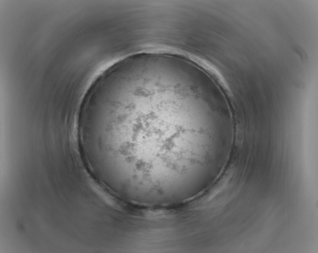 X0000113901231200910081822