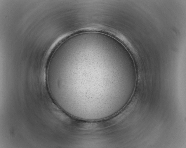 X0000113901232200910081822