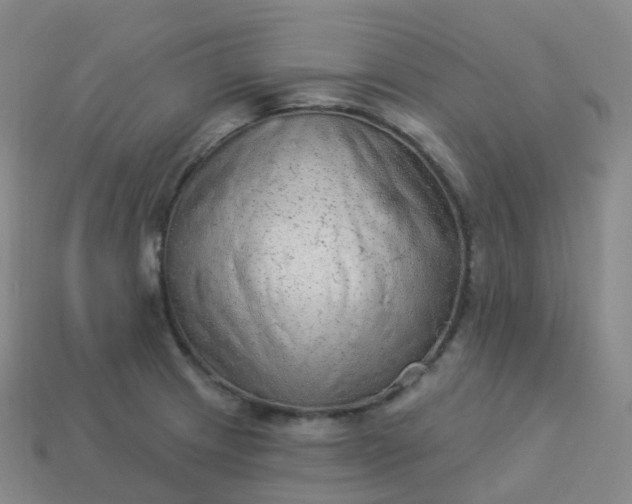 X0000113901233200910081822