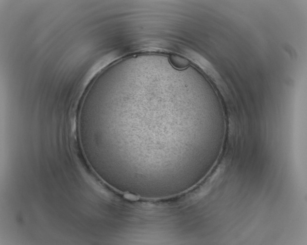 X0000113901234200910081822