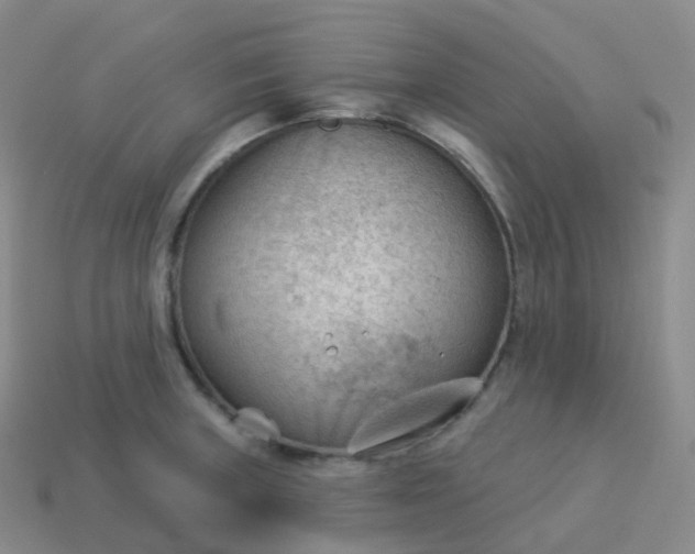 X0000113901235200910081822