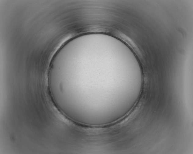 X0000113901236200910081822