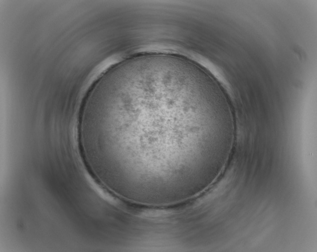 X0000113901237200910081822