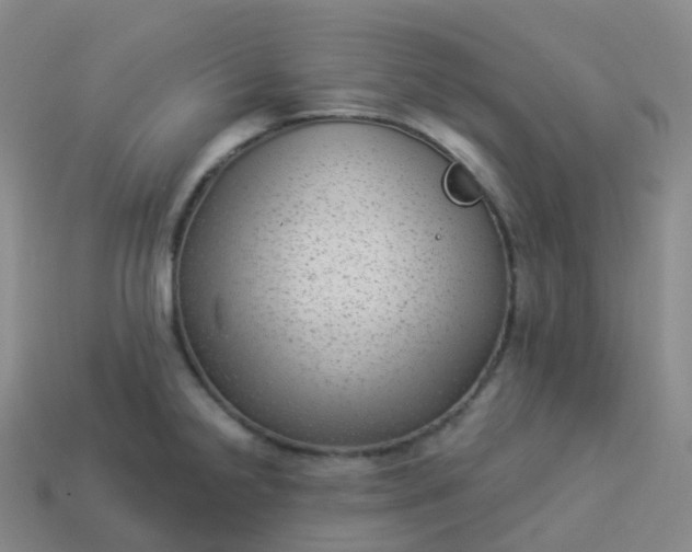 X0000113901238200910081822