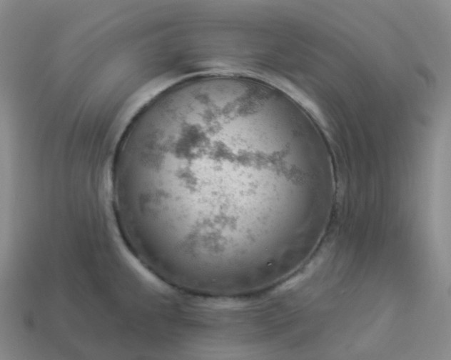 X0000113901239200910081822