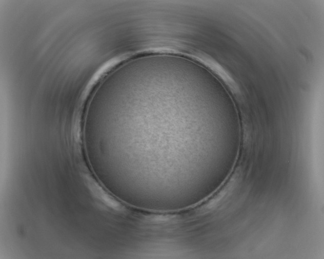 X0000113901240200910081822