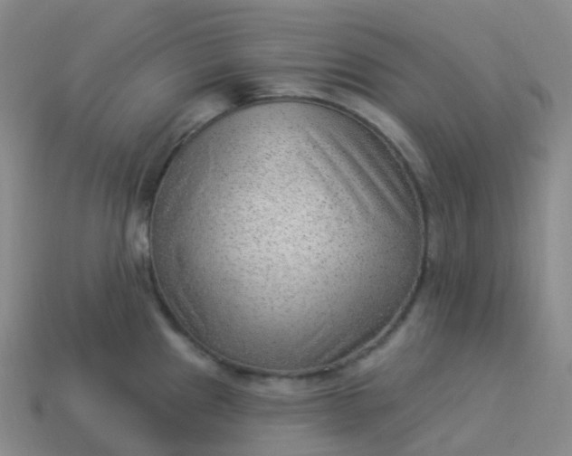 X0000113901241200910081822