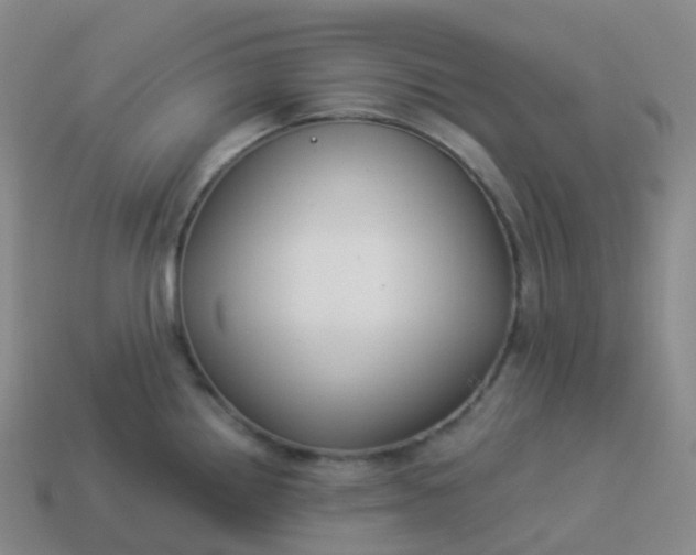 X0000113901242200910081822