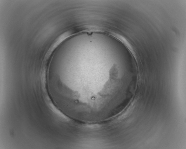 X0000113901243200910081823