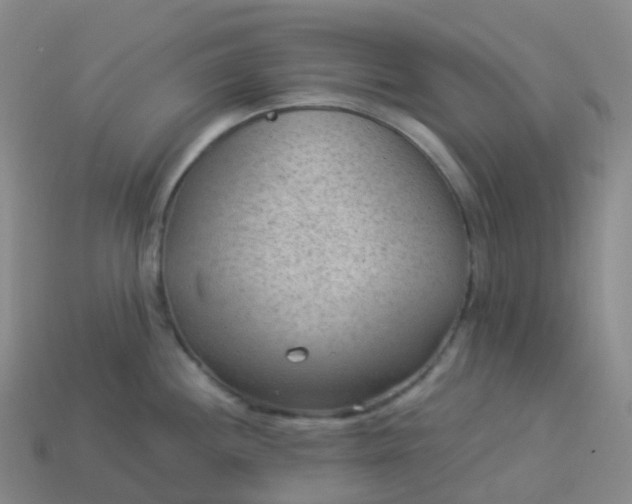 X0000113901244200910081823