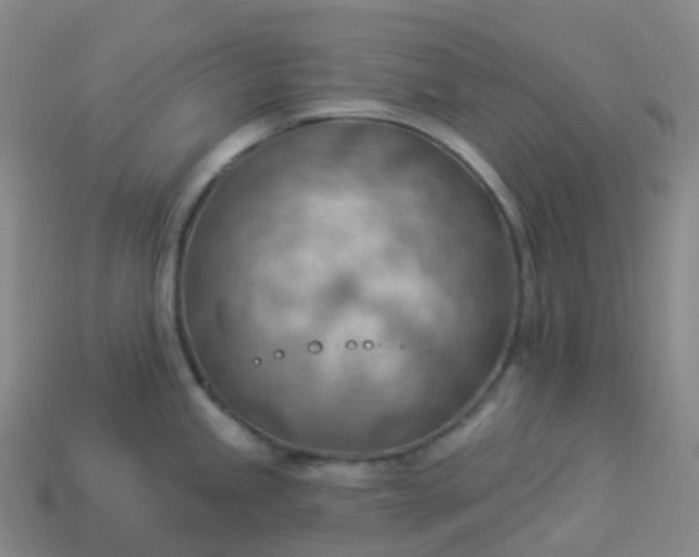 X0000113901245200910081823