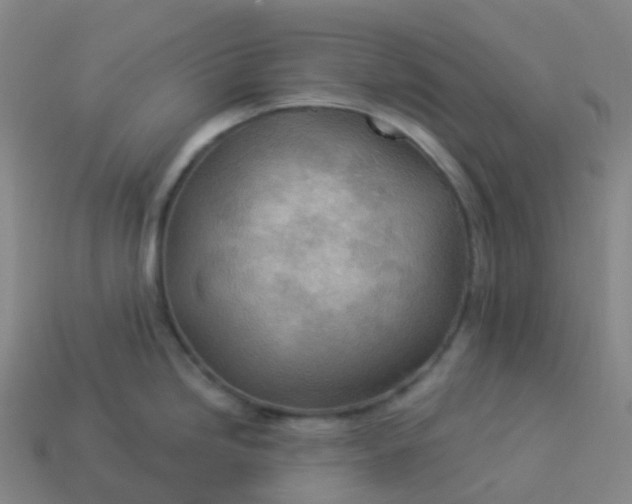 X0000113901246200910081823