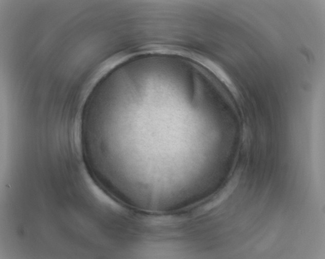 X0000113901247200910081823